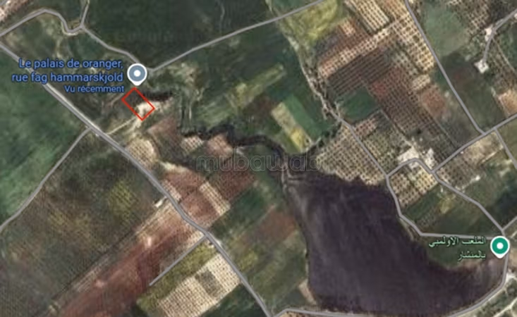 Terrain à vendre – Hammamet El Menchar
