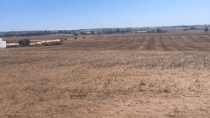 Terreno en venta. Superficie 100000 m²