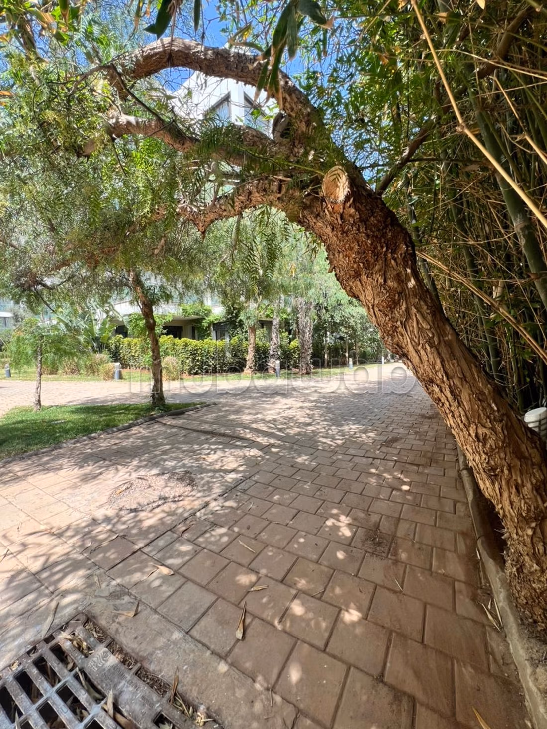 Beautiful apartment for sale in Ain Diab. 4 large living areas. Terrace and lift