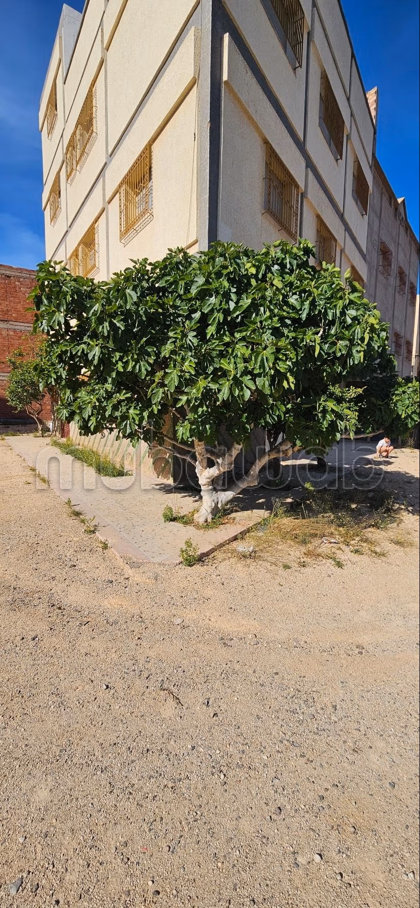Belle grande maison
