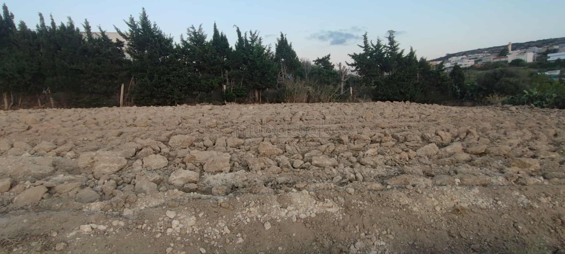 Terrain à RafRaf Ville