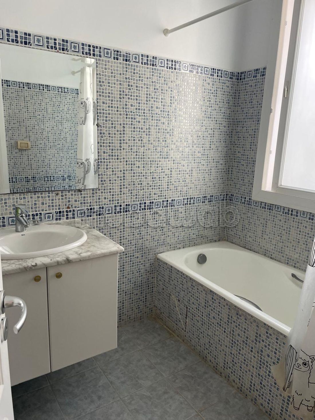 A louer à Carthage Hannibal