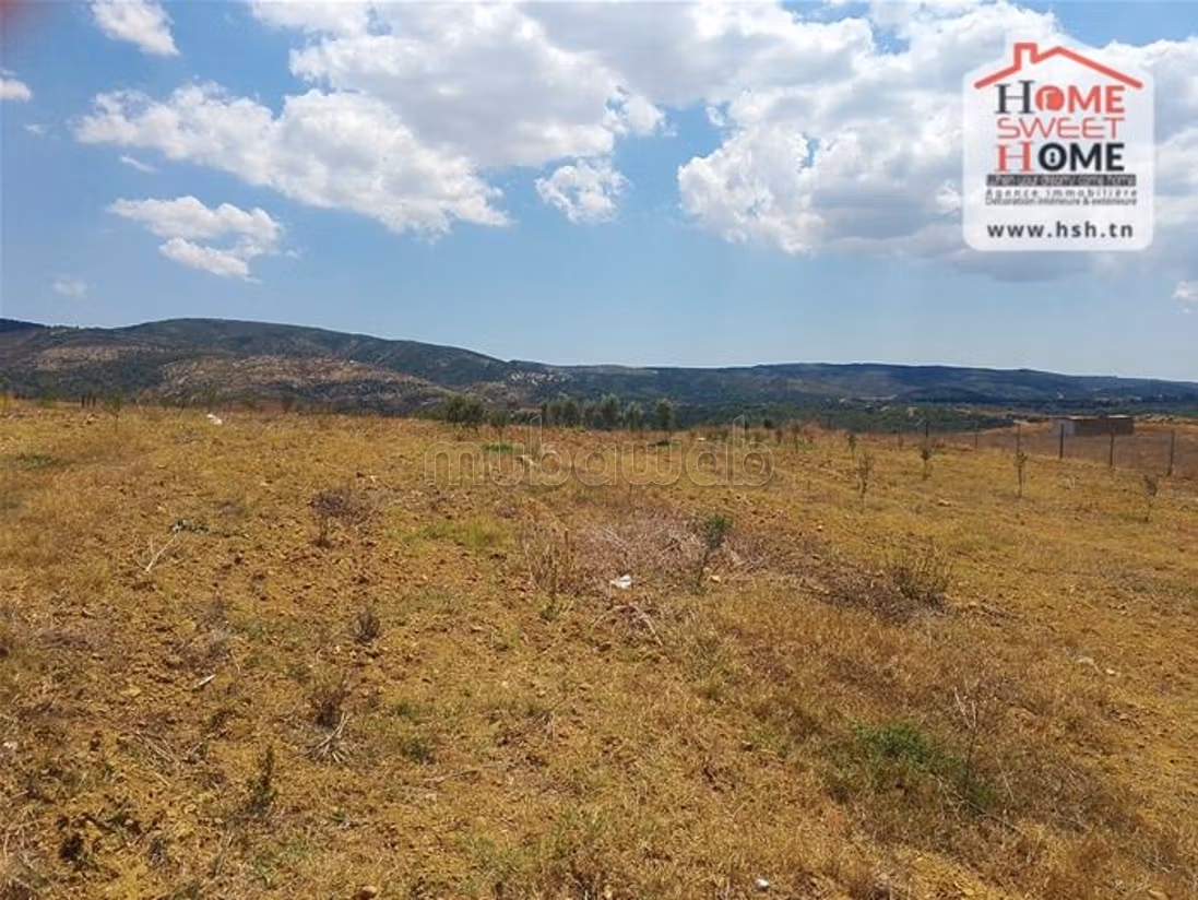 Terrain Agricole Ayla à vendre à Takelsa