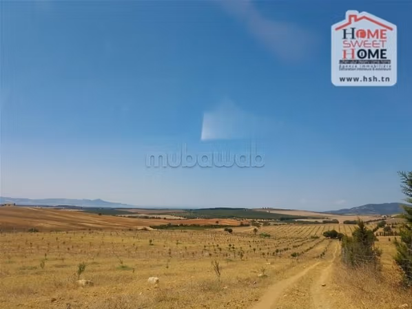 Bel terreno in vendita. Superficie totale 110000 m²
