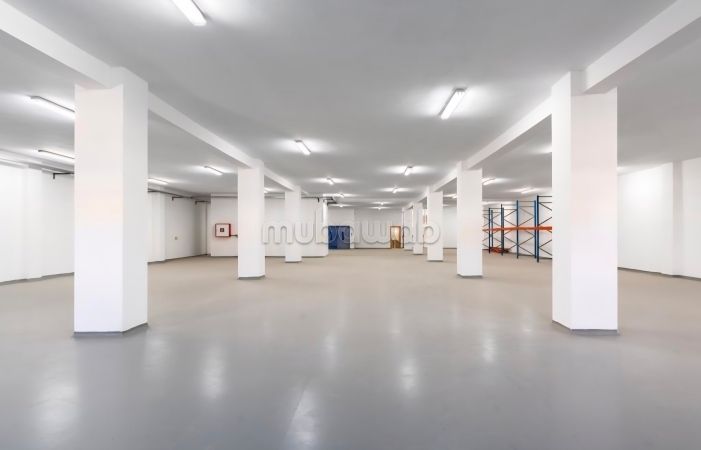 Bâtiment industrielle en location à Sapino. Surface totale 4000 m²