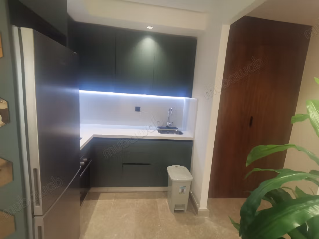 Studio neuf joliment meublé 37m2 A Racine