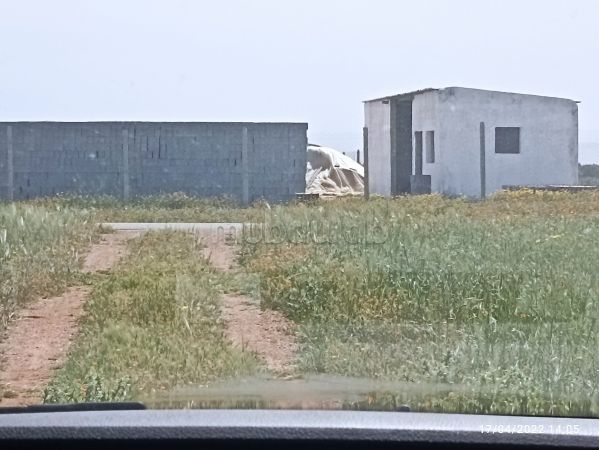 Terrain la3wanss a benslimane