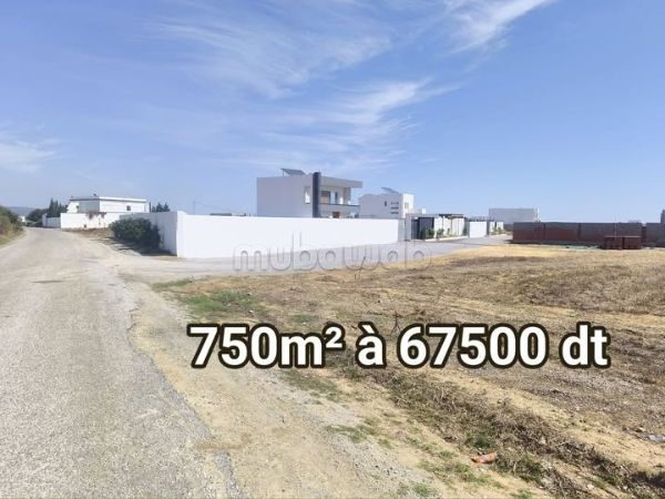 À vendre – Terrain 750 m² à Dwikhla, Hammamet Sud