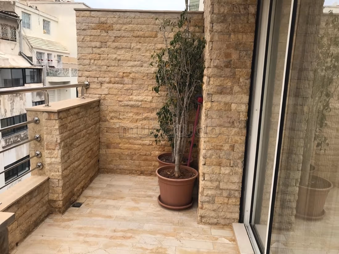 Appartement 228 m² à Racine — 15