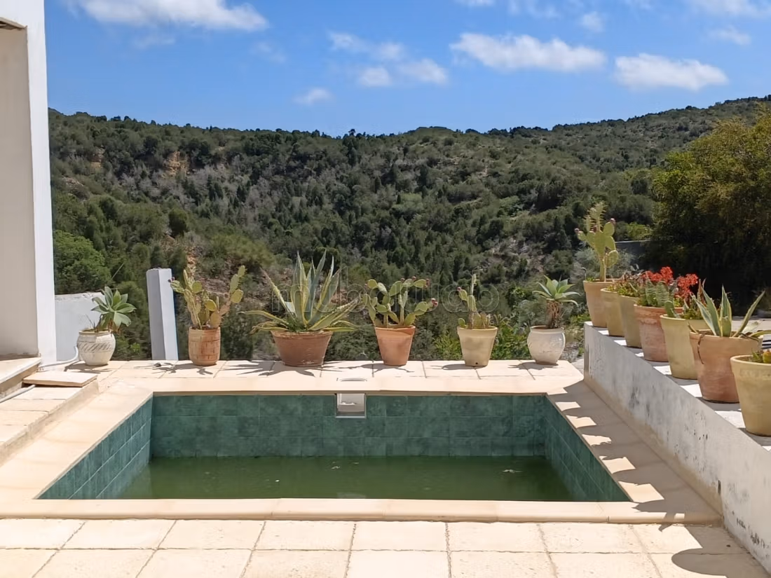 Opportunité Exceptionnelle: Villa de Maître