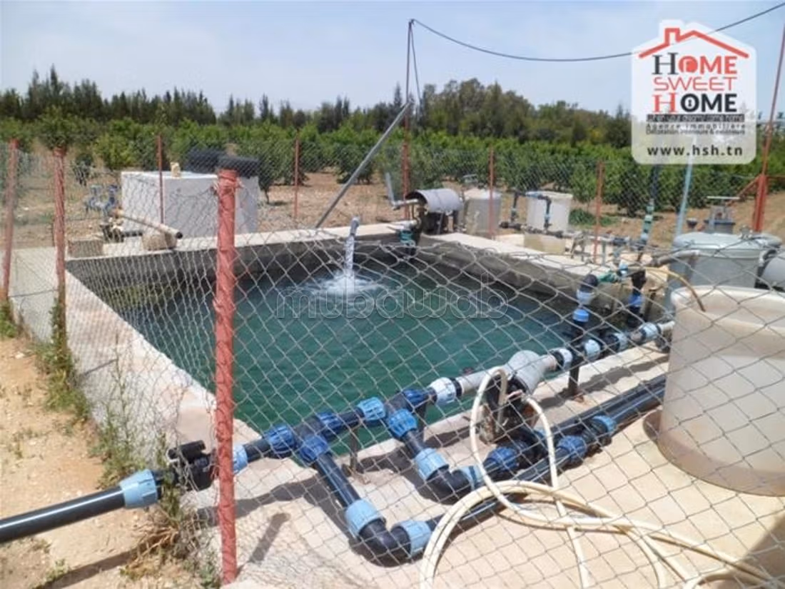 Farm for sale. Dimension 100000 m²