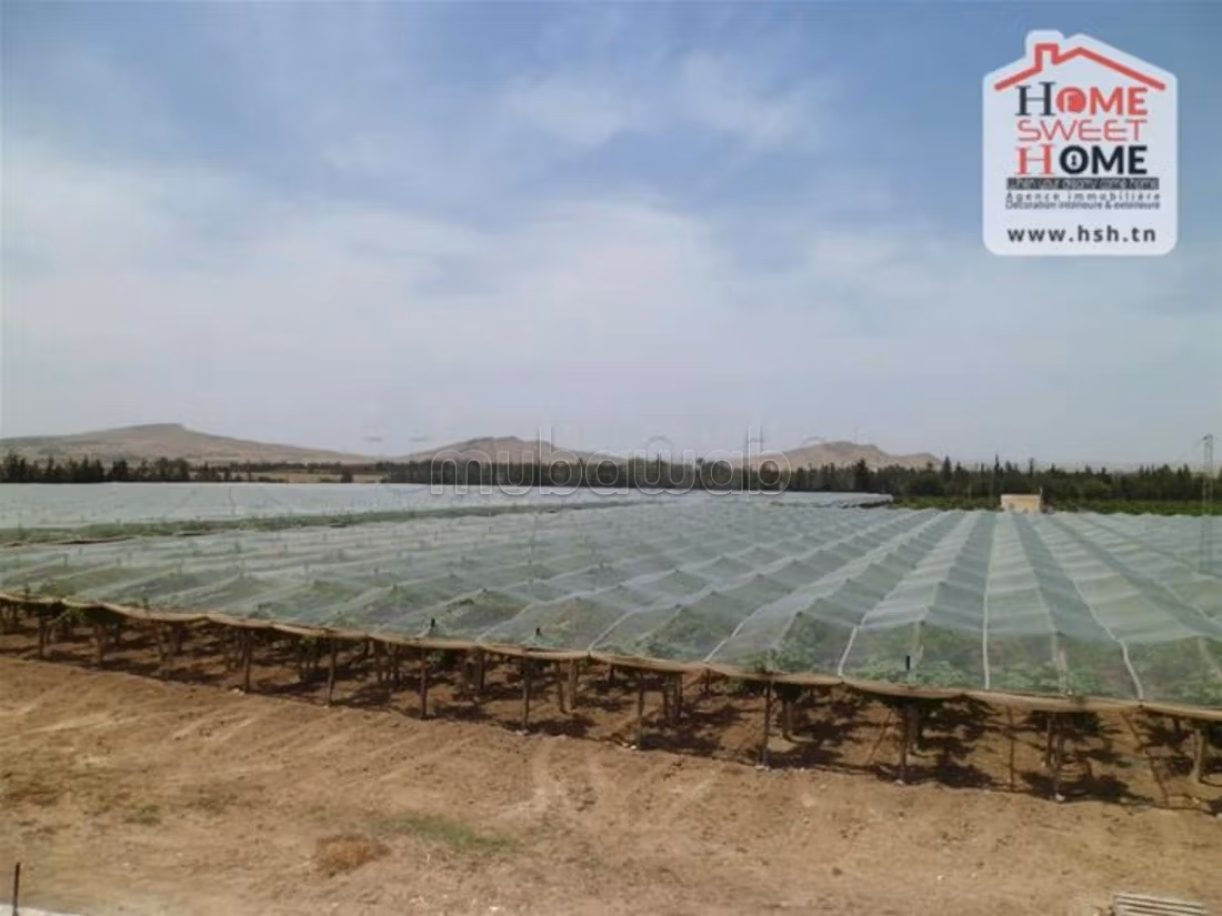 Farm for sale. Dimension 100000 m²