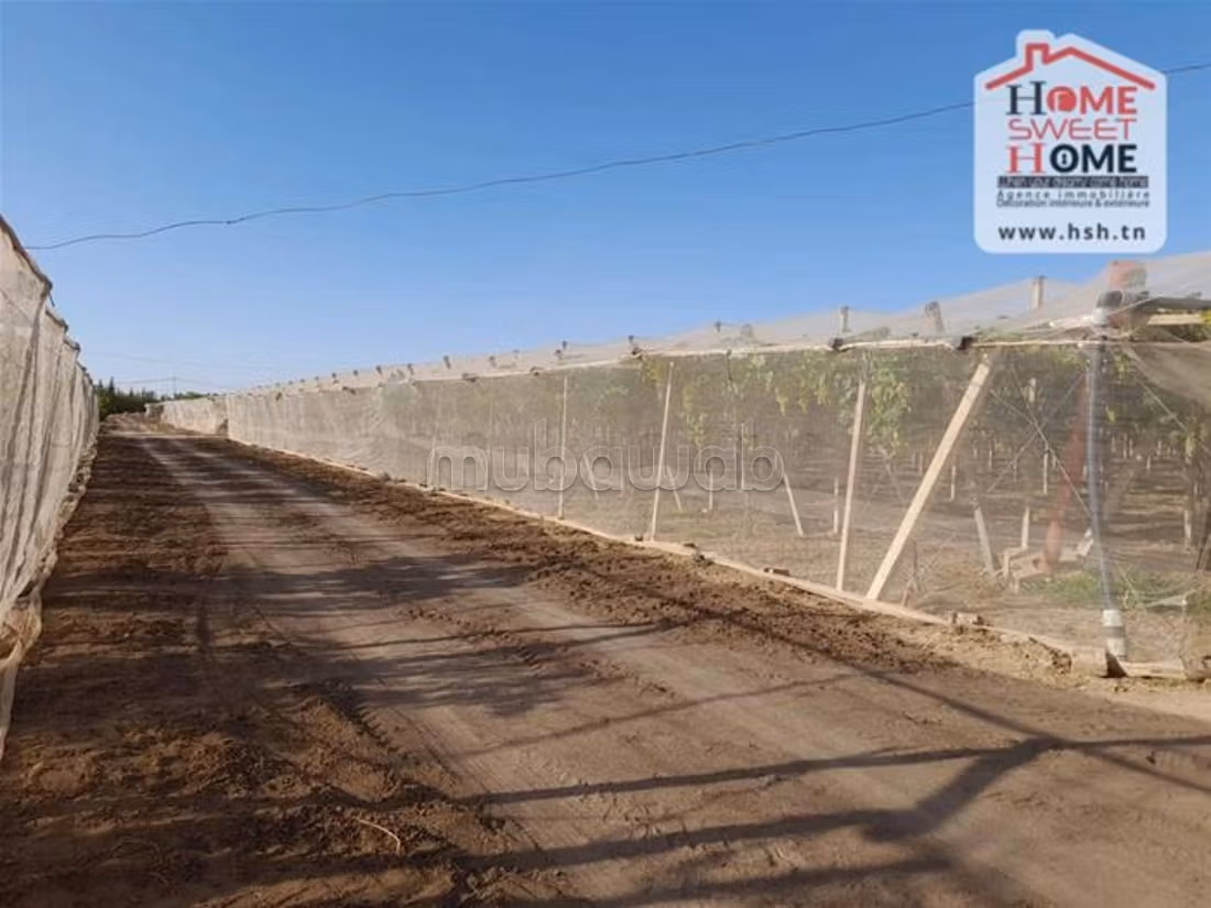 Farm for sale. Dimension 100000 m²