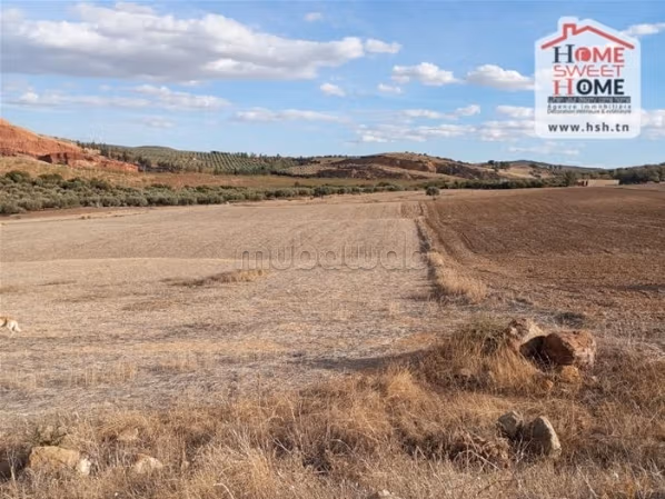 Bel terreno in vendita. Superficie di 530000 m²