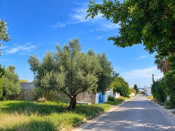 À vendre – Terrain 850 m² à Hammamet
