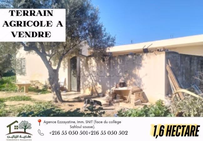 Terreno in vendita a Chatt Meriem. Superficie 106000 m²