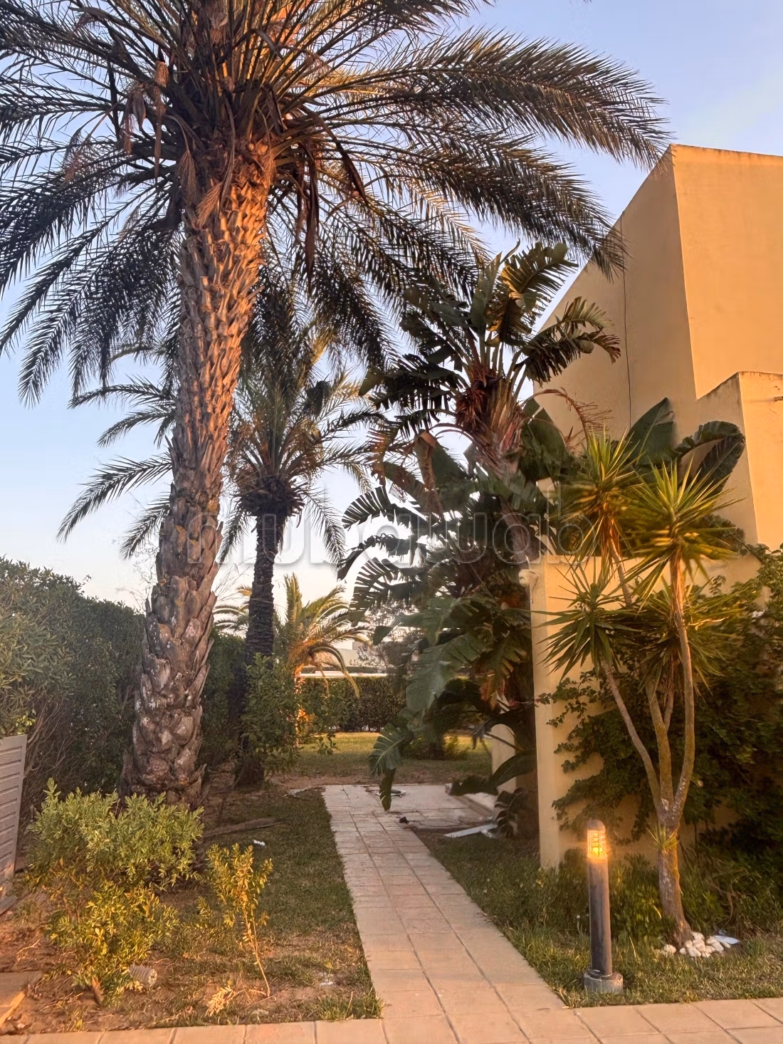 Villa à la location vide à gammarth touristique