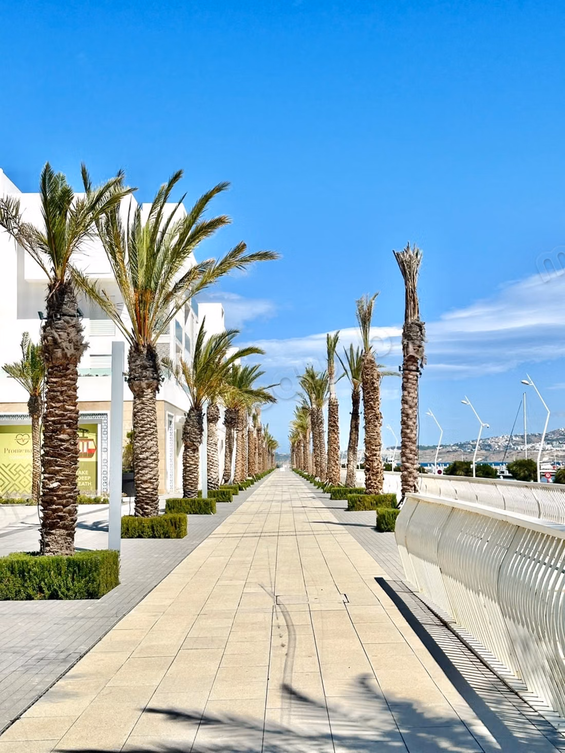 Luxueux appartement à louer à la Marina Bay
