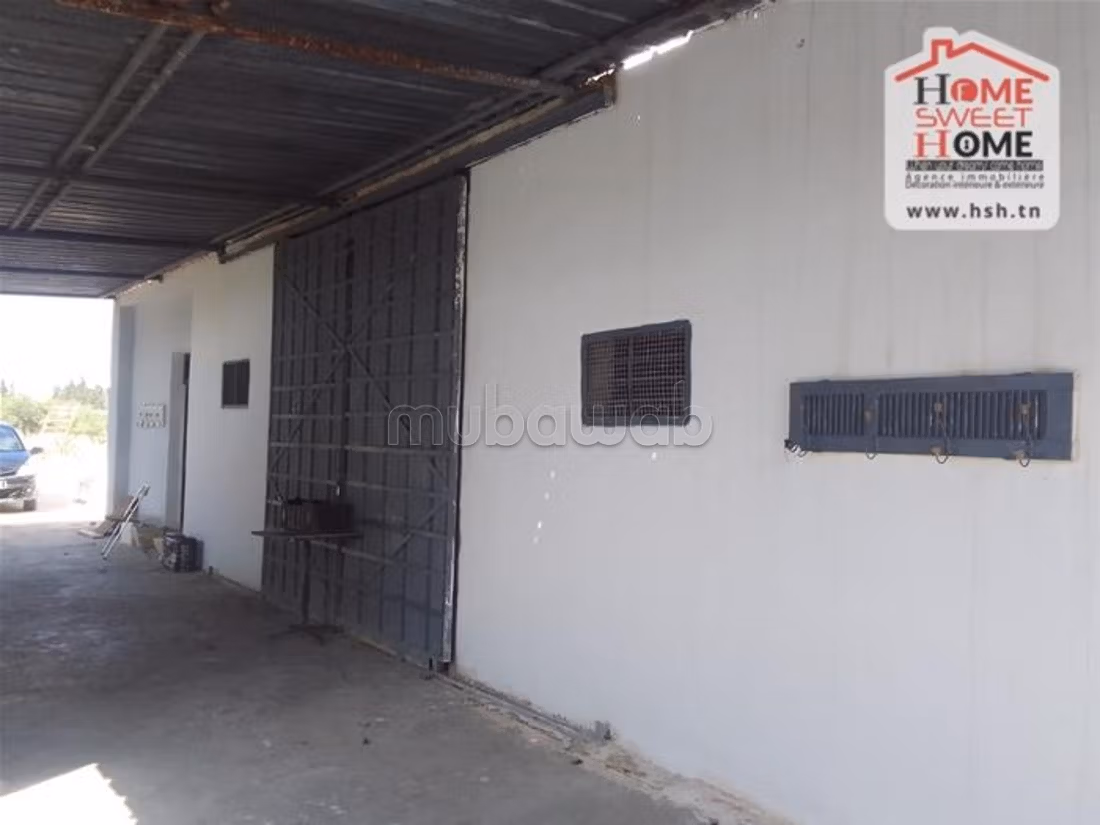 Farm for sale. Dimension 250000 m²