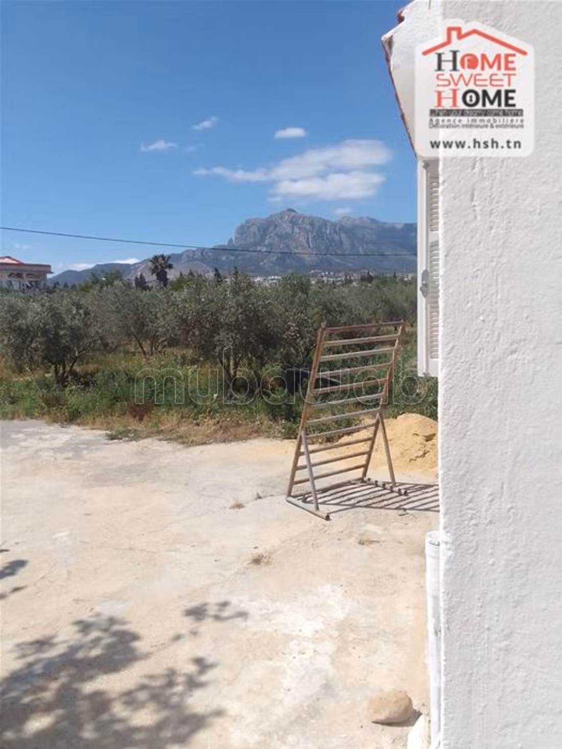 Farm for sale. Dimension 250000 m²
