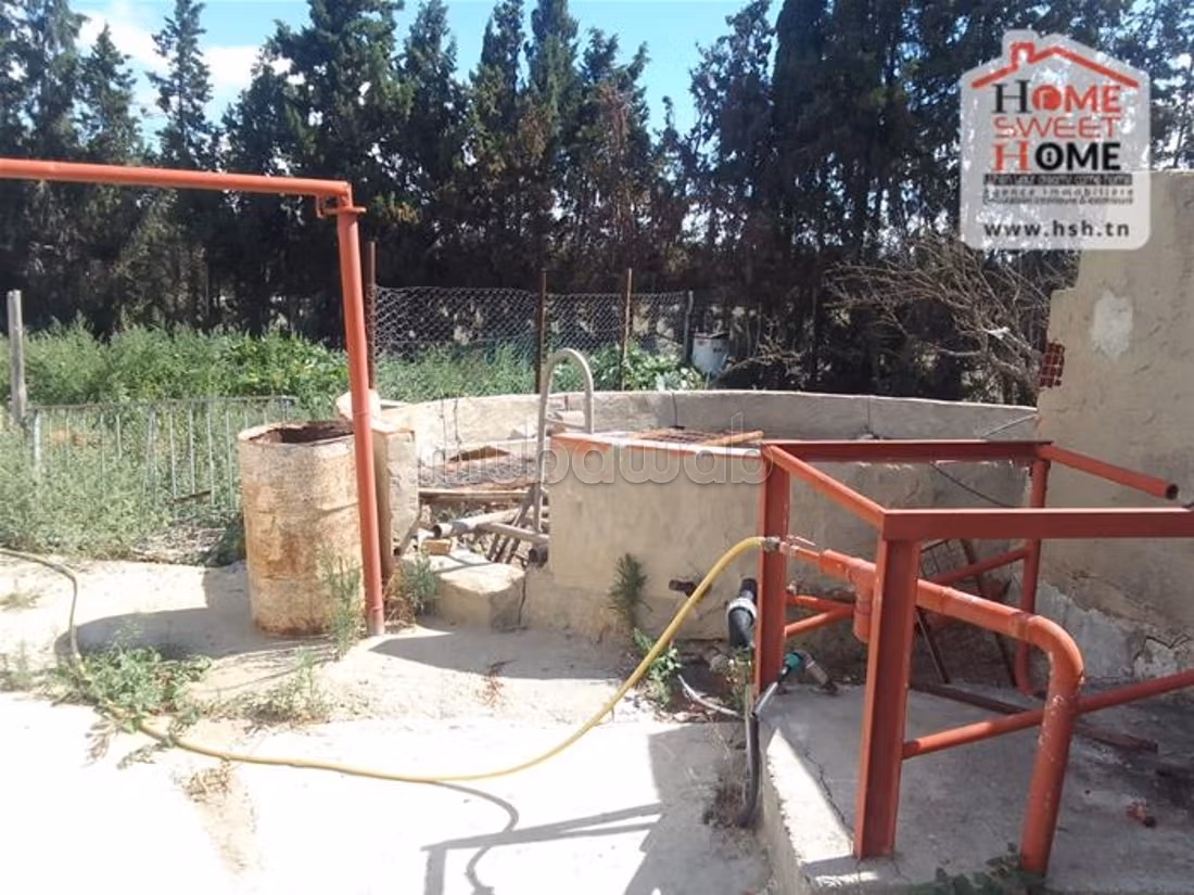 Farm for sale. Dimension 250000 m²