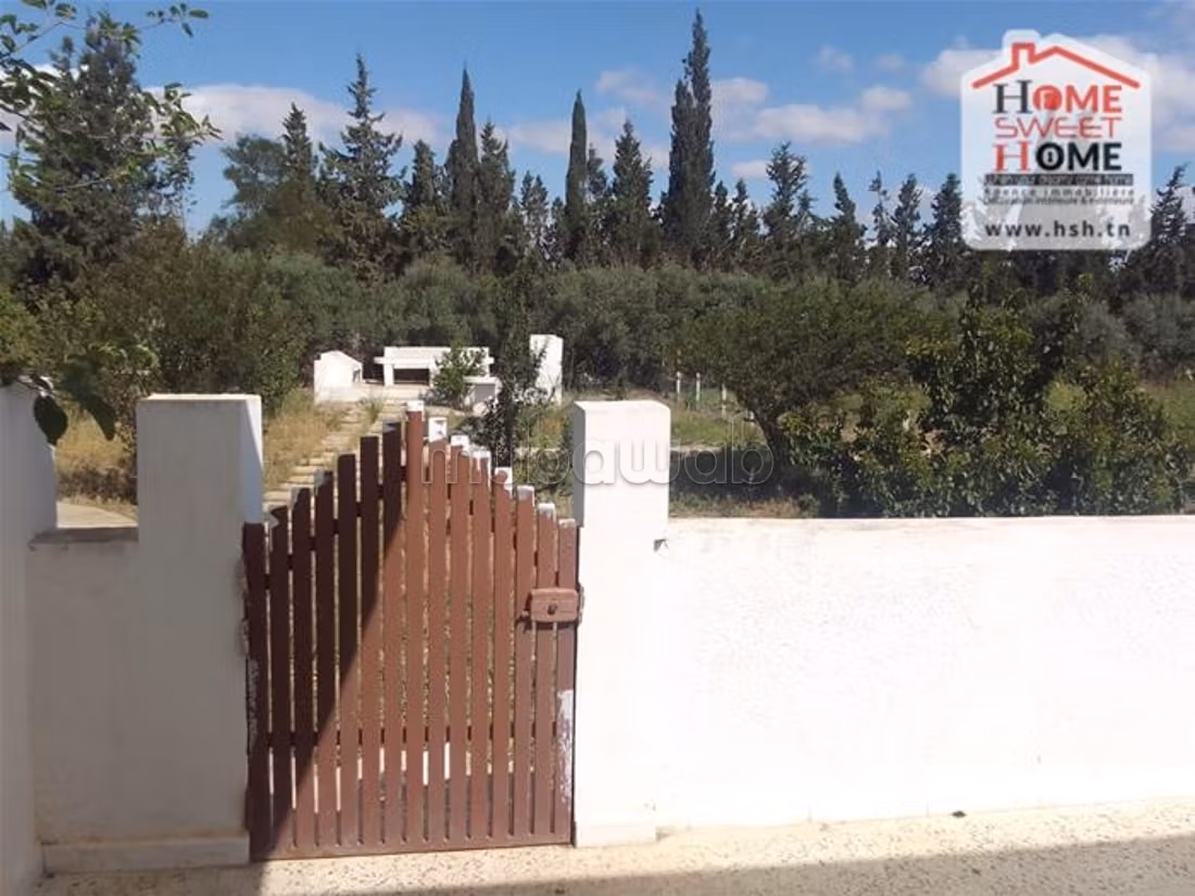 Farm for sale. Dimension 250000 m²