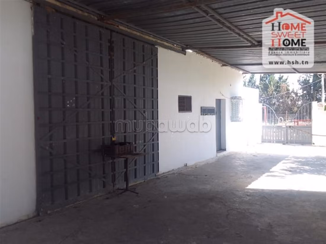 Farm for sale. Dimension 250000 m²