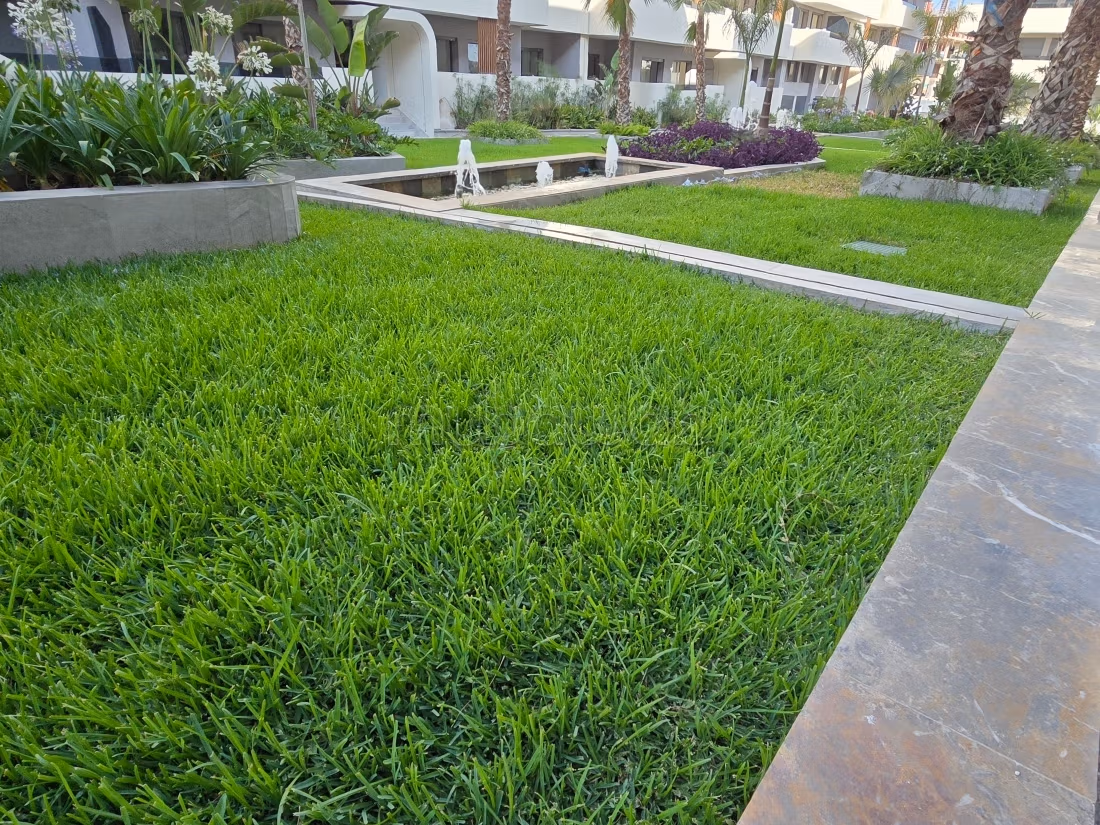 Appartement 95m² Neuf à louer à Californie — 3