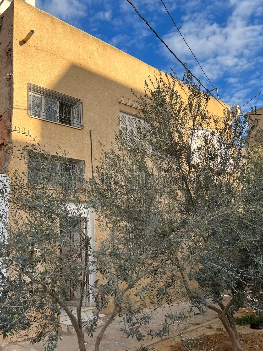 2 maisons  
1 studio à vendre à Hay El Bahri 
3