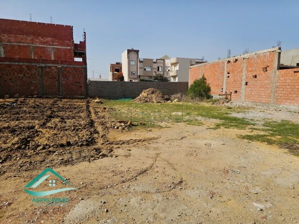 Beautiful land for sale. Large area 255 m²