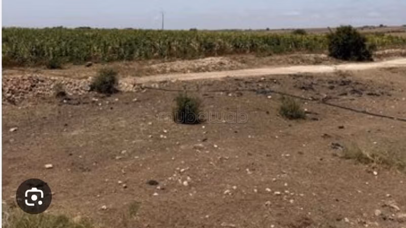 Kopen: land. Oppervlakte 4000 m²