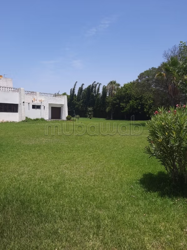 Terrain nue zone villa en vente à hay Ryad