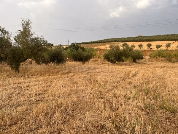 Terreno en venta. Área total 7500 m²