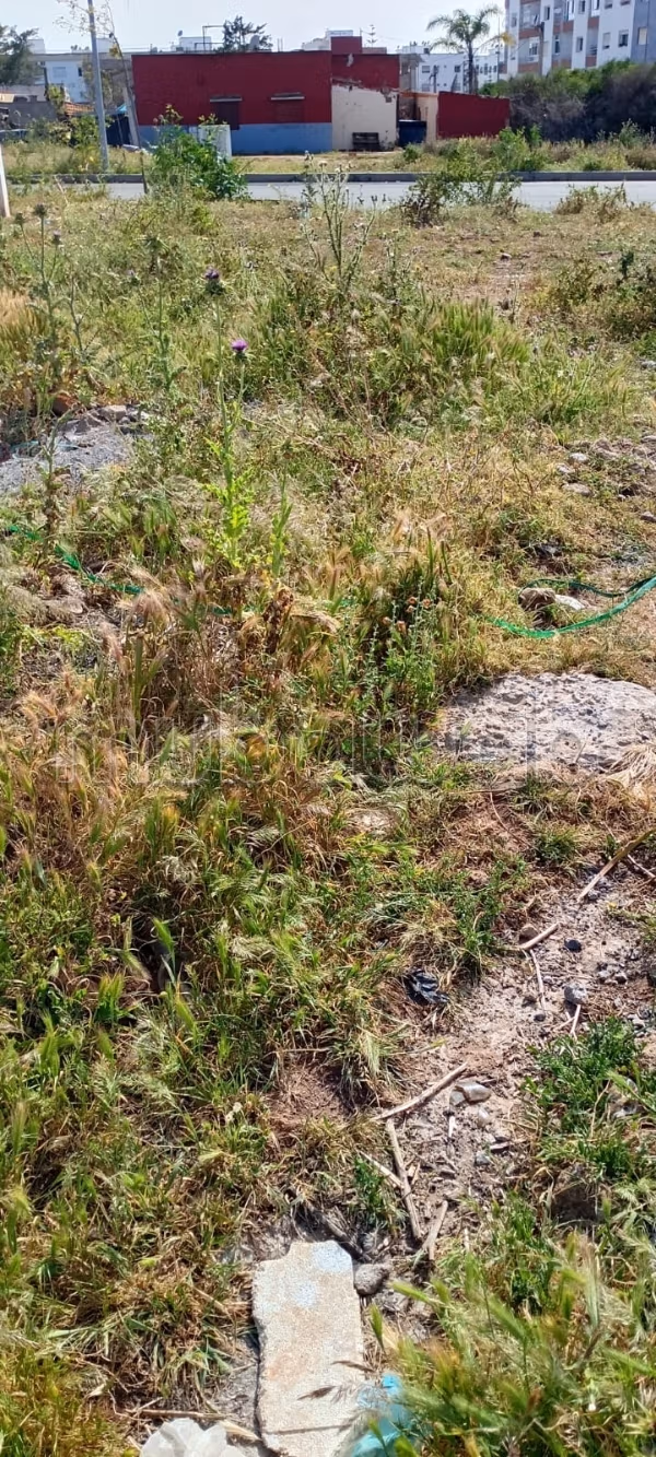 Land for sale. Dimension 207 m²