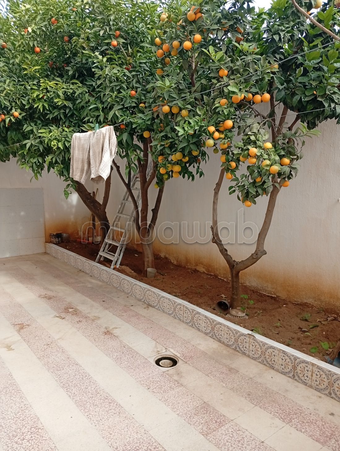 Vente mnihla villa R2 quartier residentiel