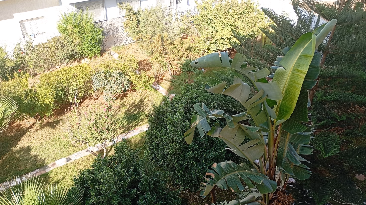 APPARTEMENT 114m Lot Résidentiel Calme