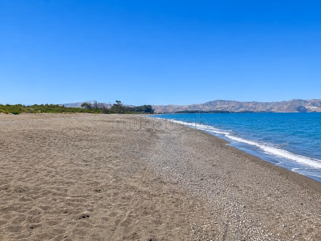 Registered land of 28,000 m² in Nkou