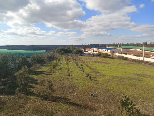 Ferme à vendre à sidi Yahya 
zaer