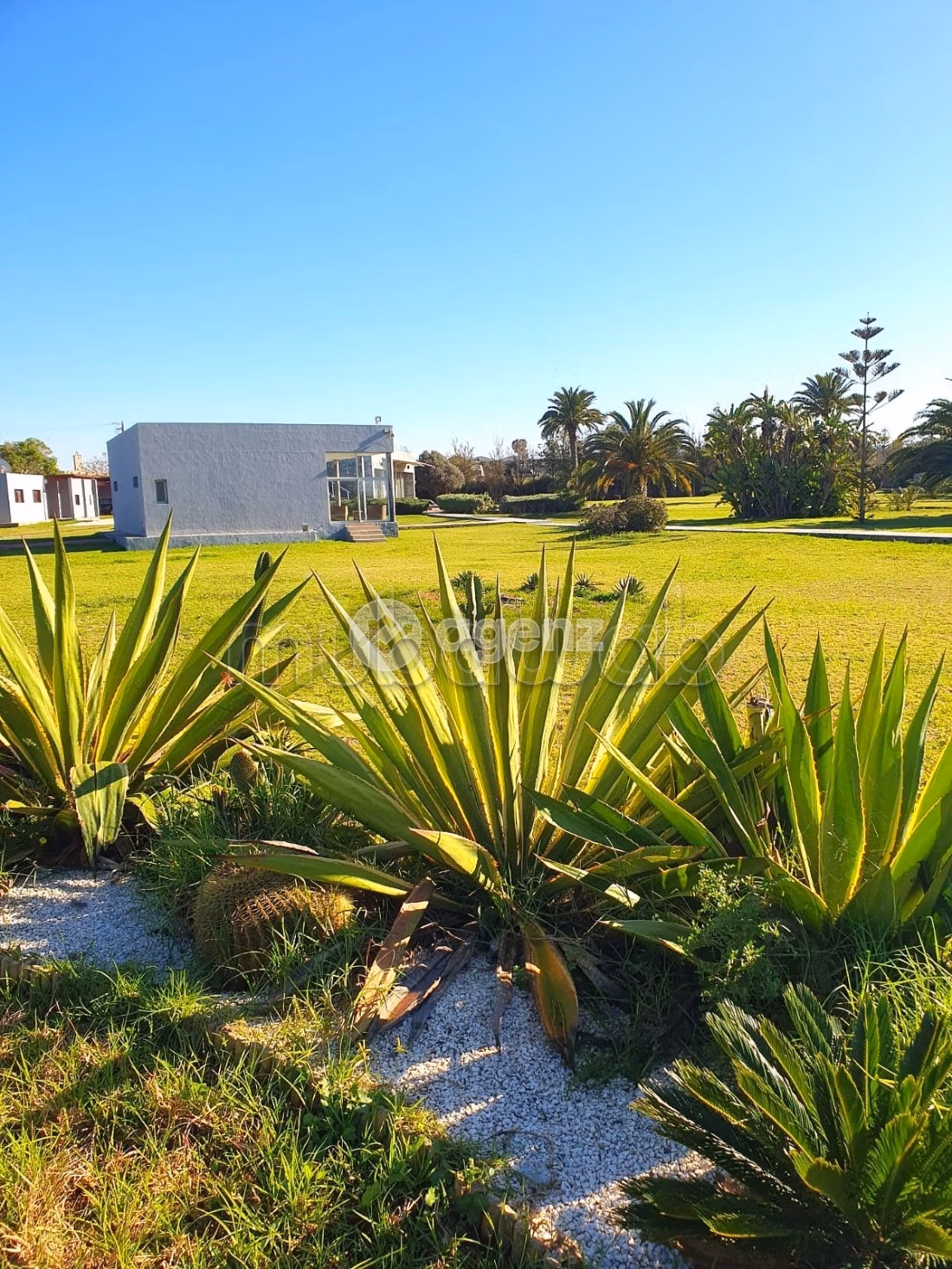 Villa à vendre 18 463 m², 4 chambres Dar Bouazza Dar Bouazza