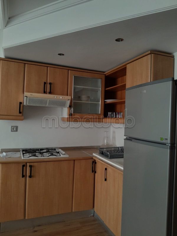 Très bel appartement en location à Bourgogne Est. 2 pièces confortables. Bien meublé