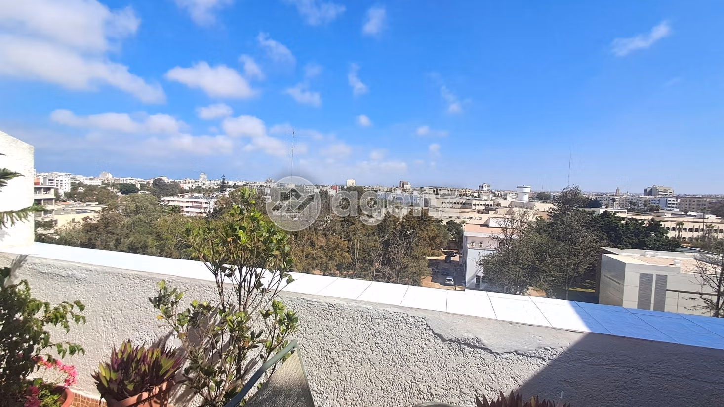 Appartement 196 m² à Palmier — 18