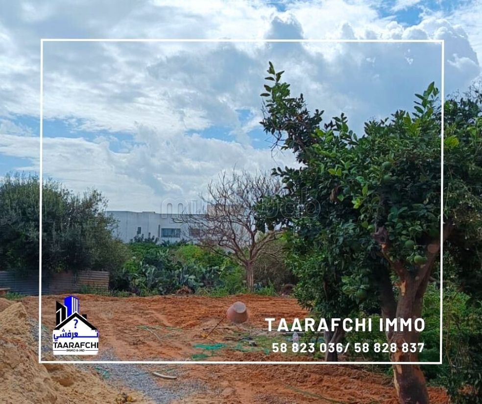 A vendre Terrain 186 m² Hammamet Centre: