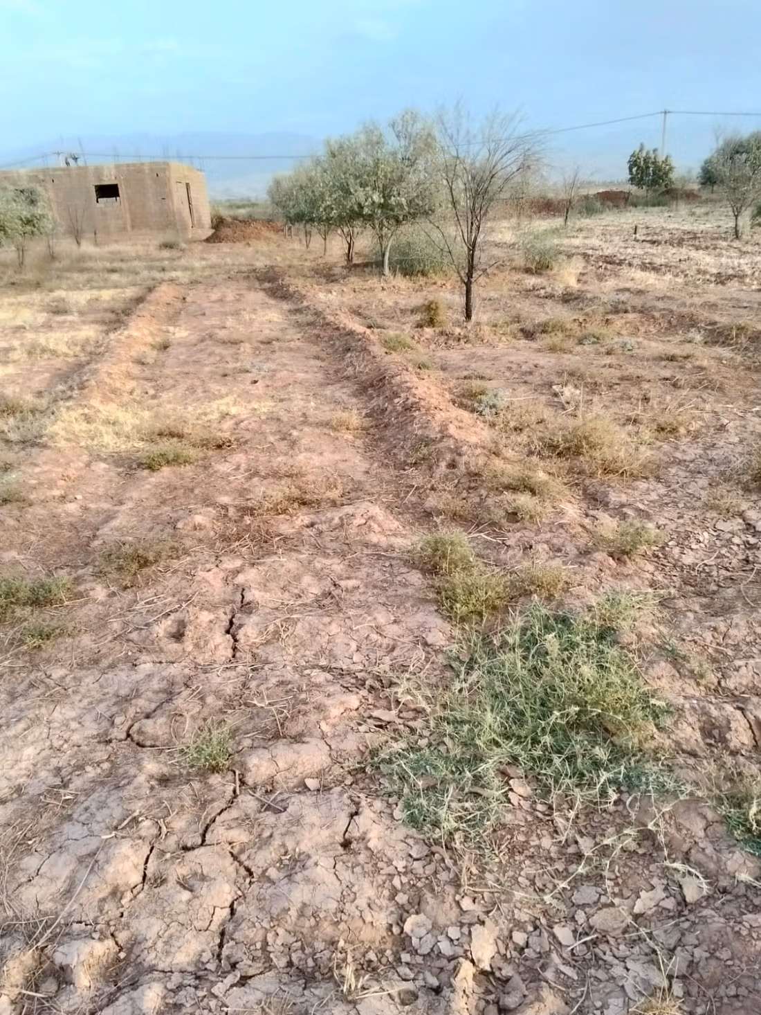 Land beschikbaar. Oppervlakte 10000 m²