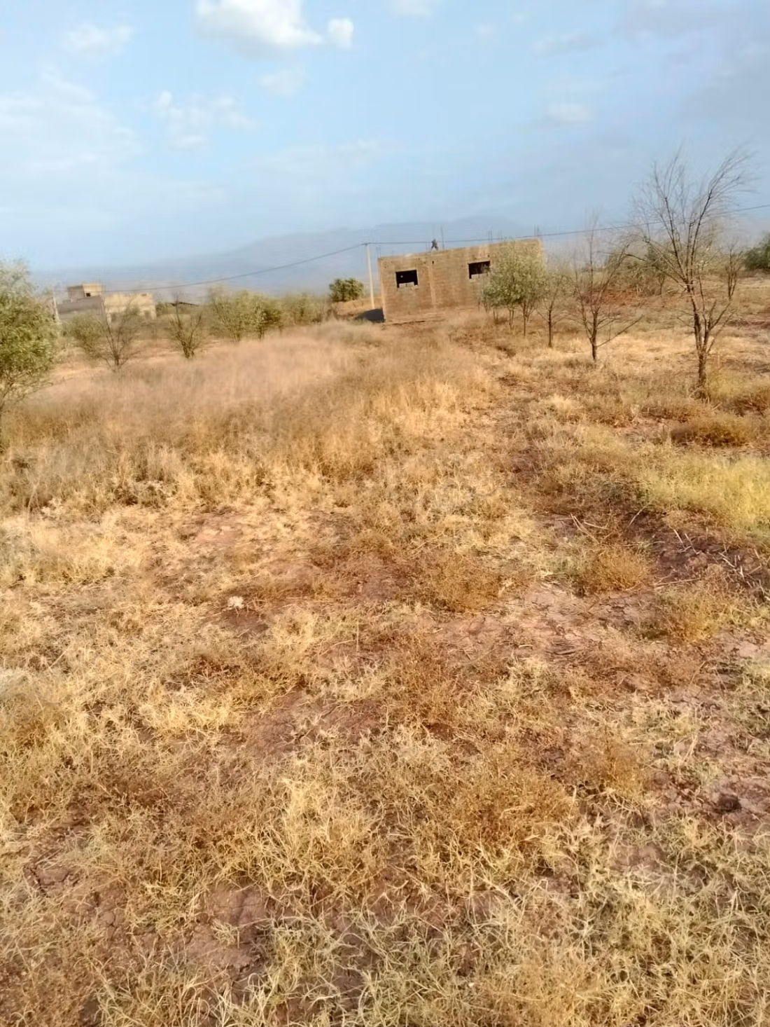 Land beschikbaar. Oppervlakte 10000 m²