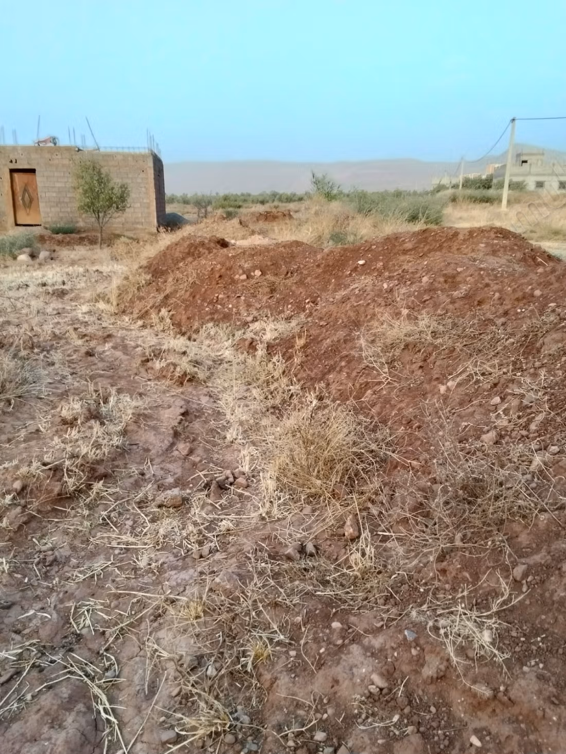Land beschikbaar. Oppervlakte 10000 m²