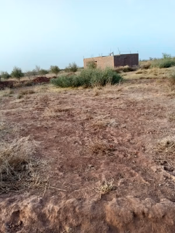 Land beschikbaar. Oppervlakte 10000 m²