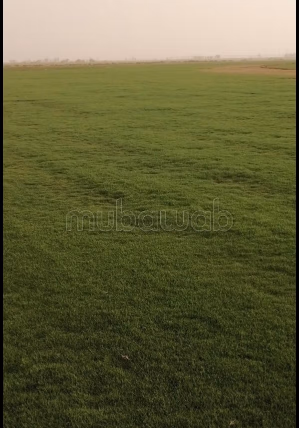 Compra venta de terrenos. Área total 8500 m²