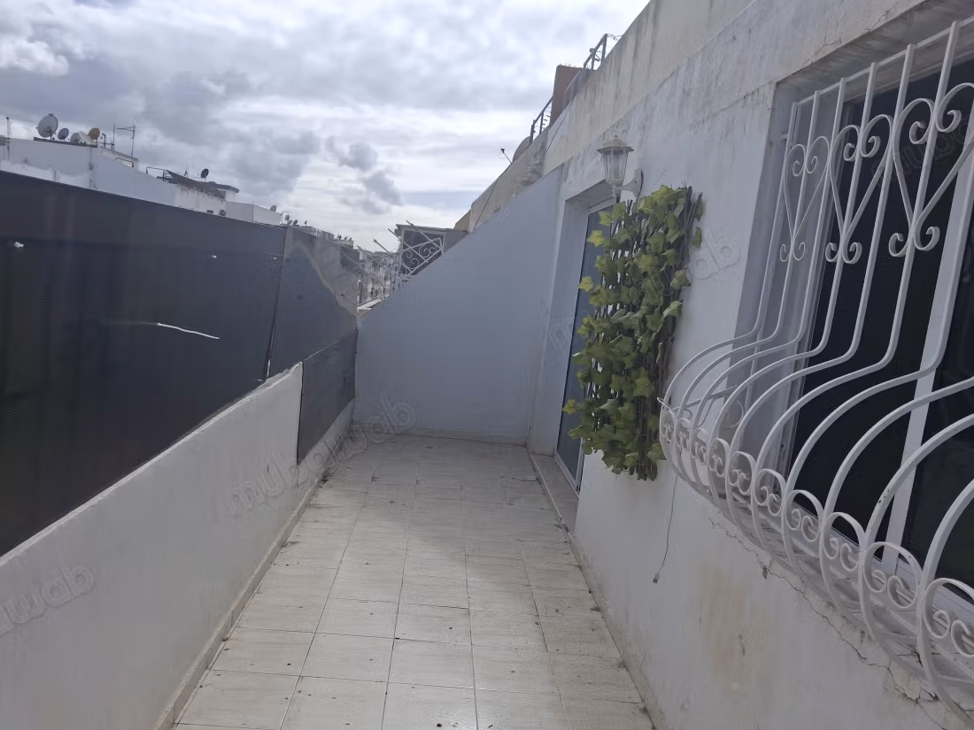 Bel appartement en location à Belvédère. 1 Pièce. Terrasse et ascenseur