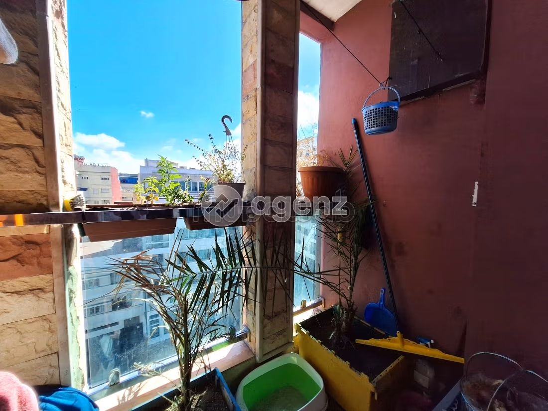 Appartement 81 m² à Roches Noires — 12