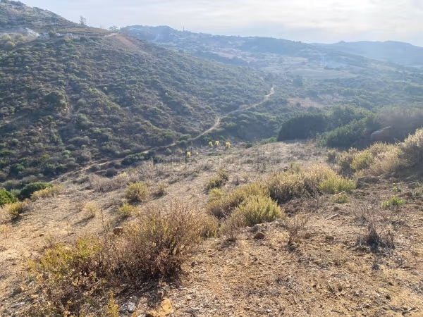 Bel terreno in vendita. Superficie 2286 m²